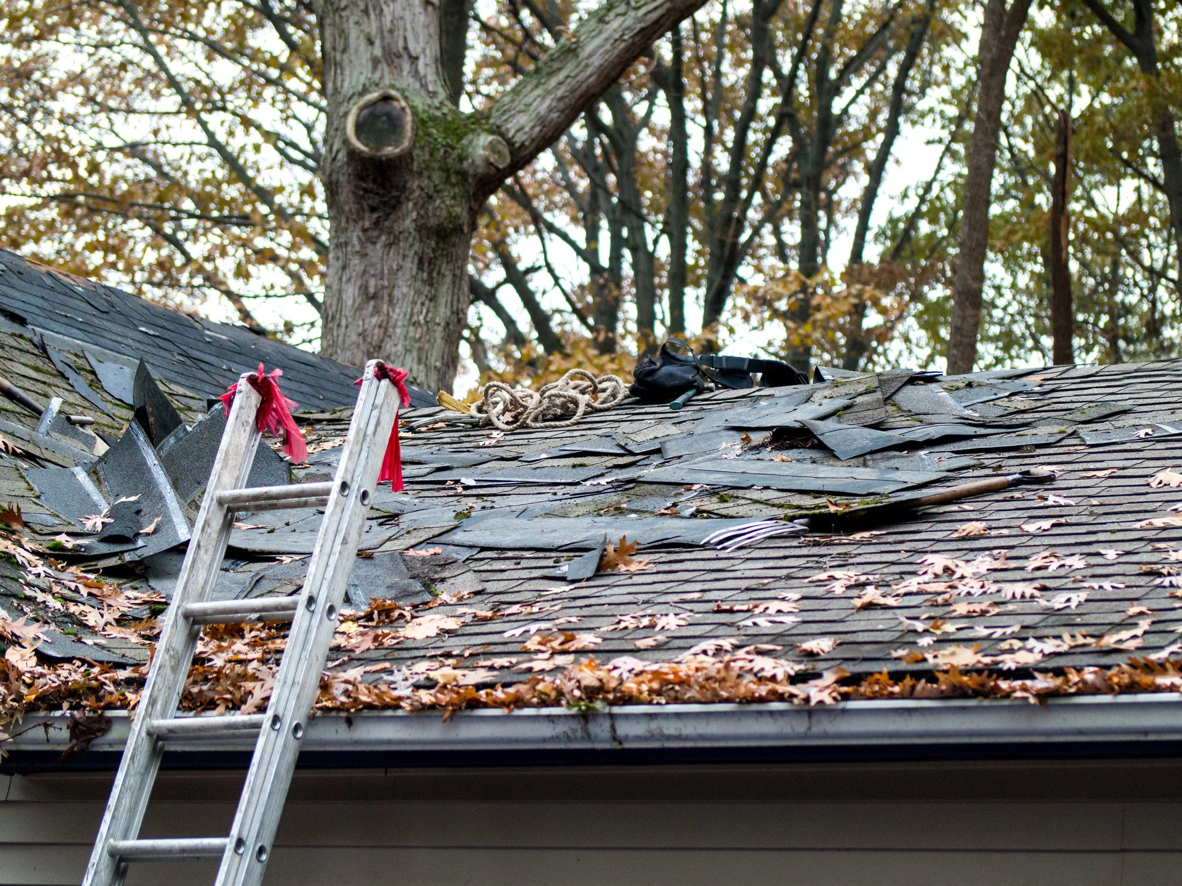 A ladder against a roof in the middle of a tear-off, with torn shingles and fall leaves.