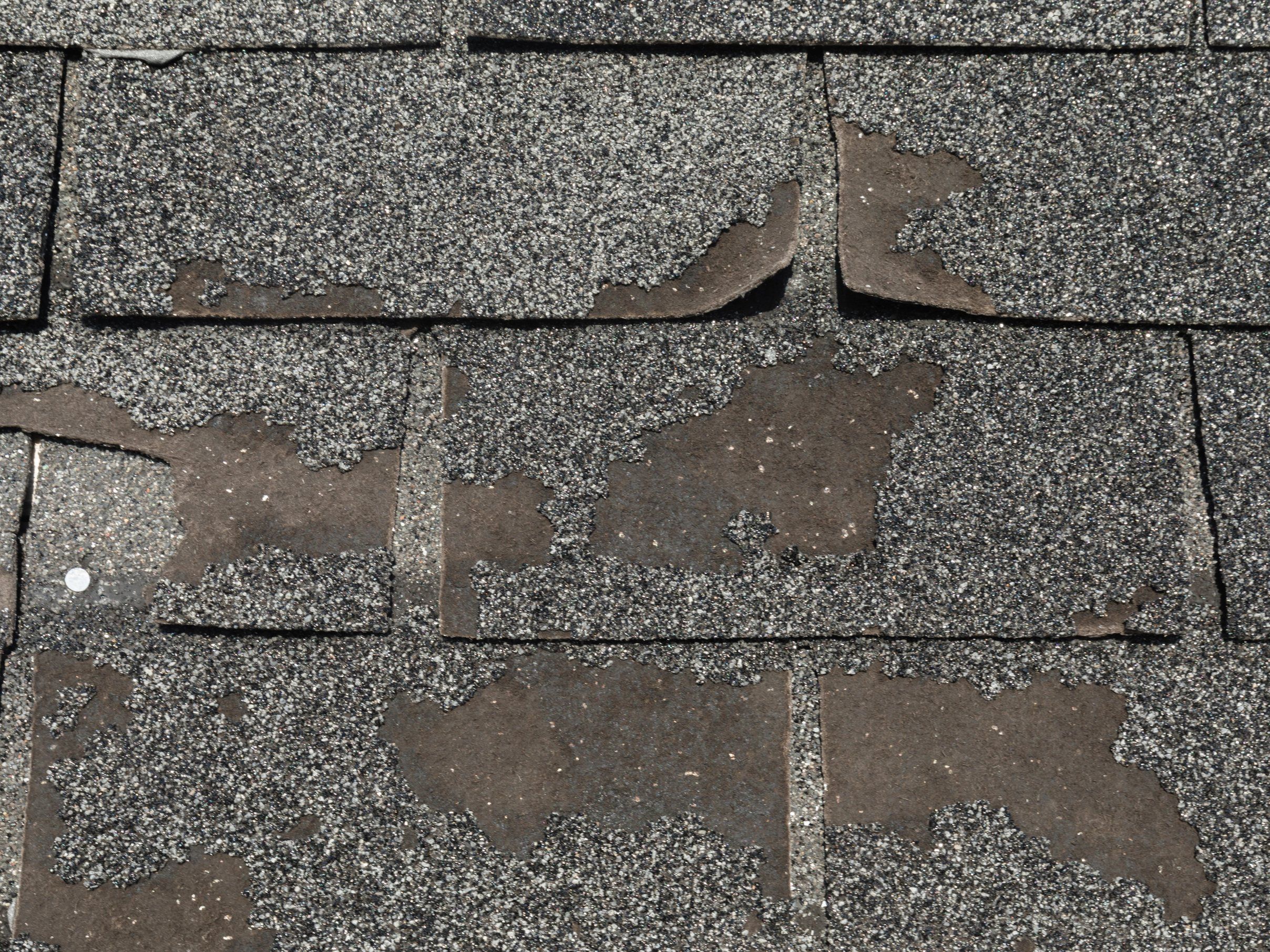 Worn asphalt shingles with granule loss exposing the mat.