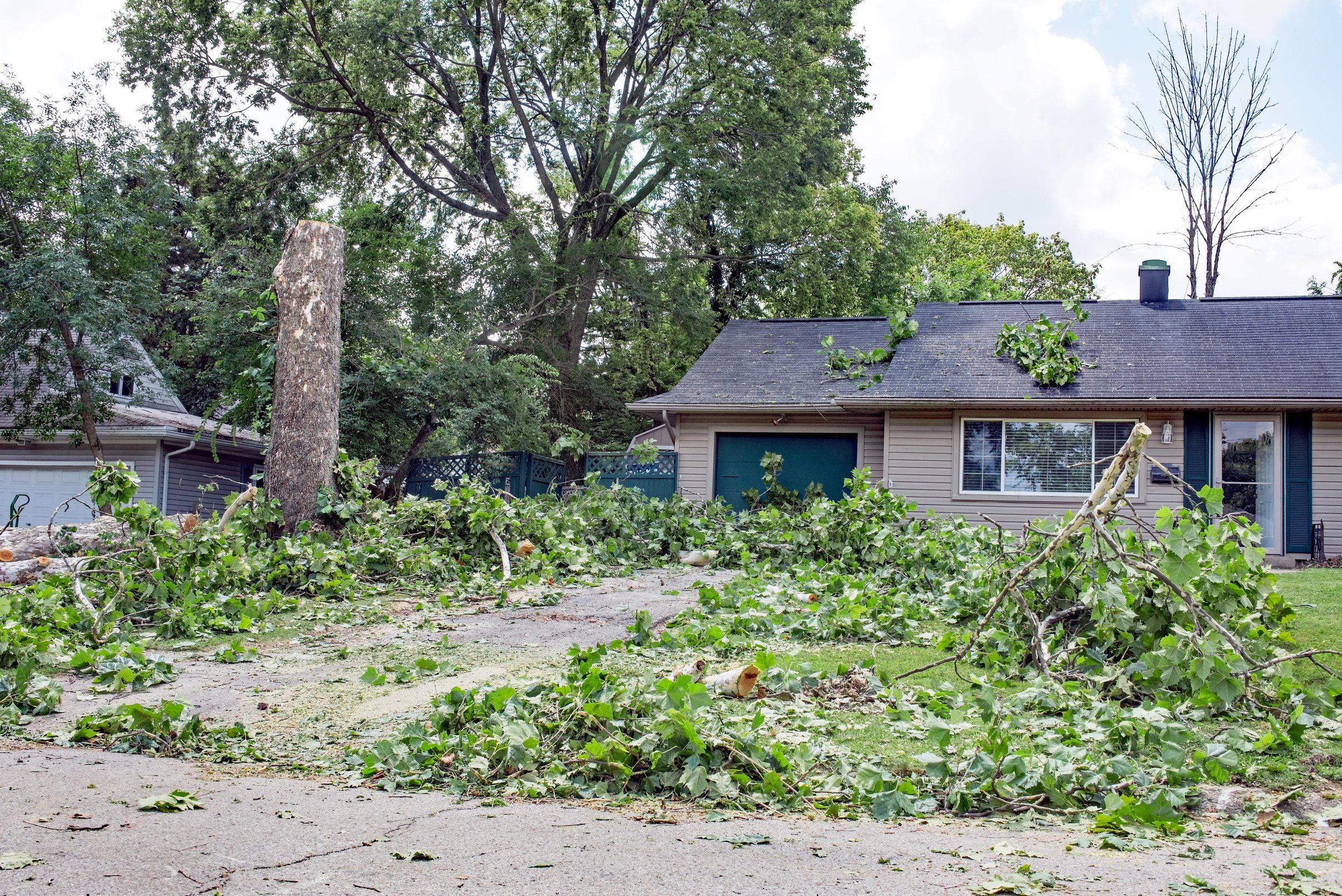 Storm debris and a snapped tree in front of a ranch house with branches on its roof.