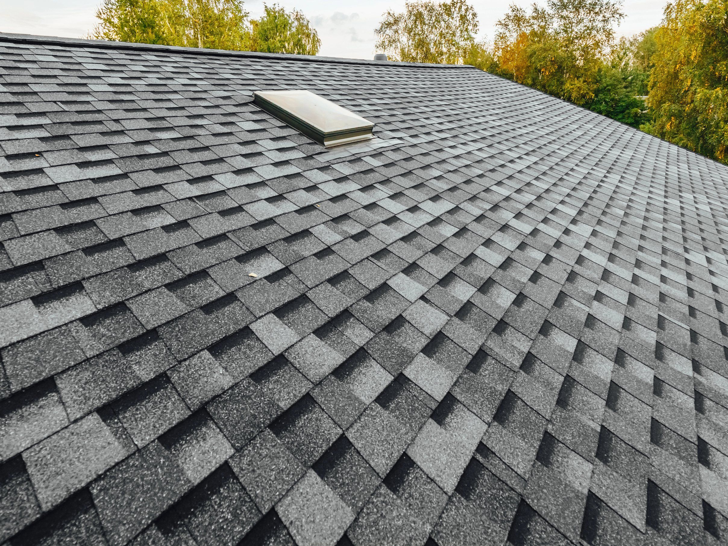 A new charcoal architectural-shingle roof with a skylight, autumn trees behind.