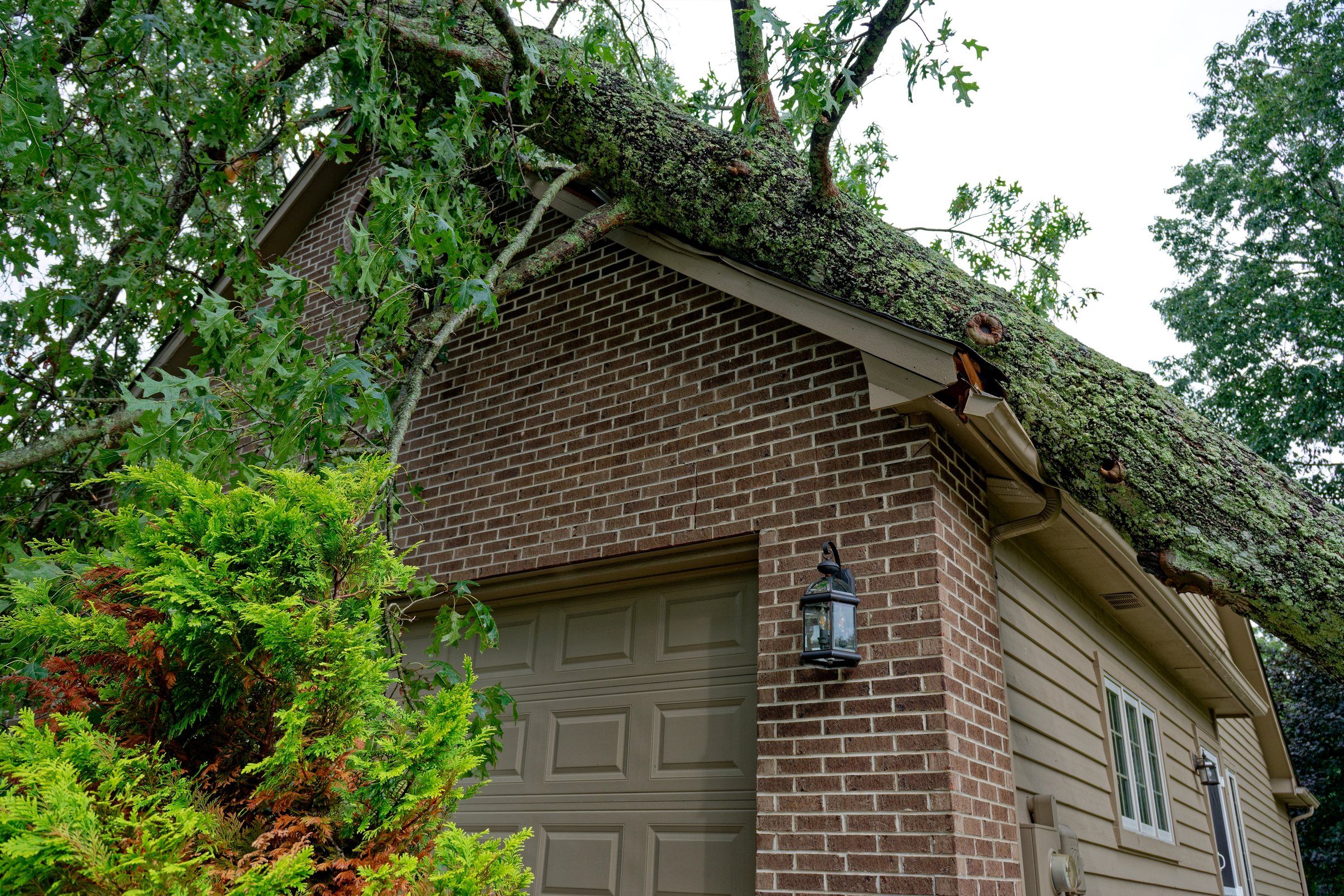 A fallen tree lying across the roof of a brick and clapboard garage.