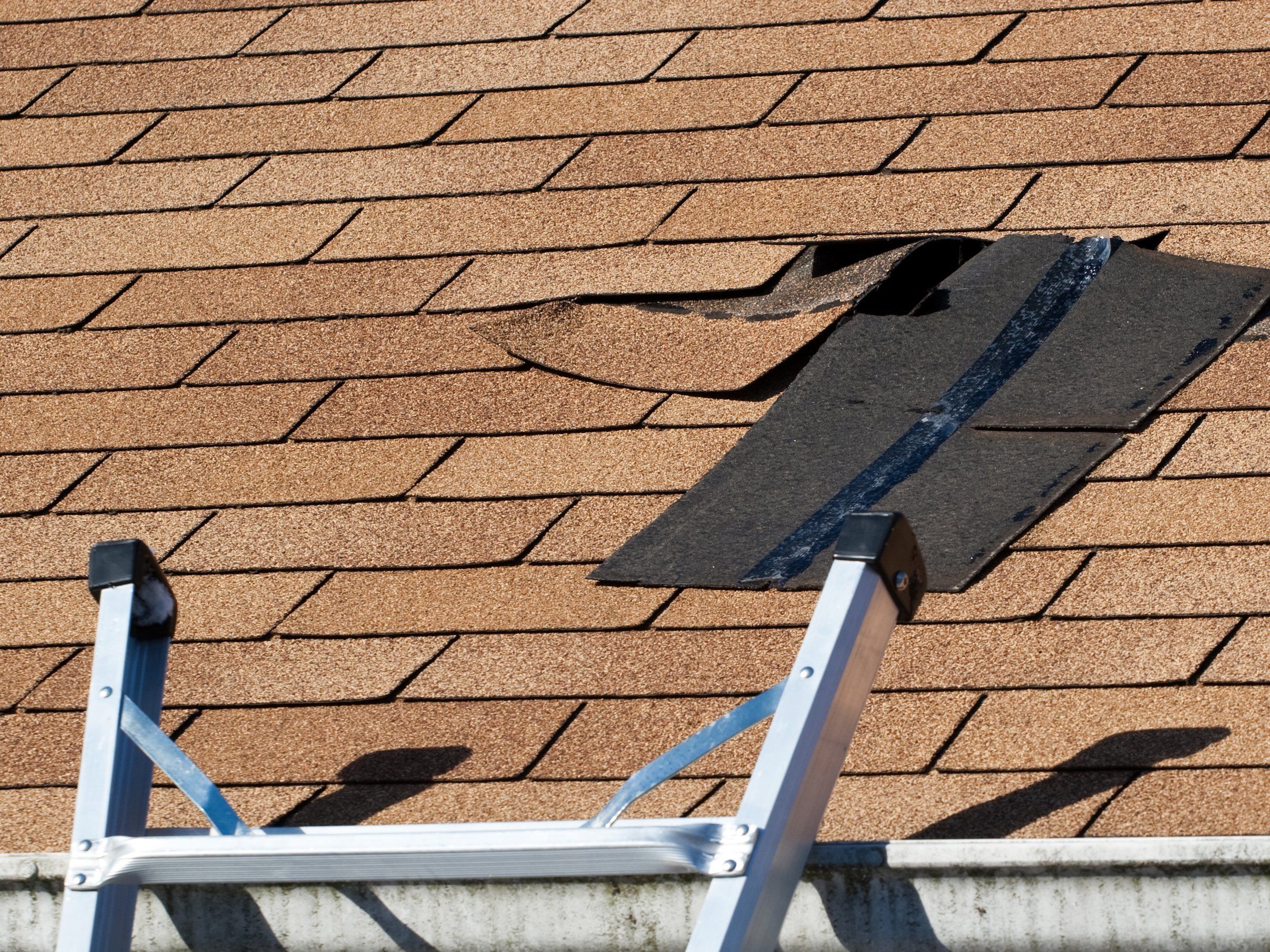 A lifted shingle tab being repaired above a ladder on a tan shingle roof.
