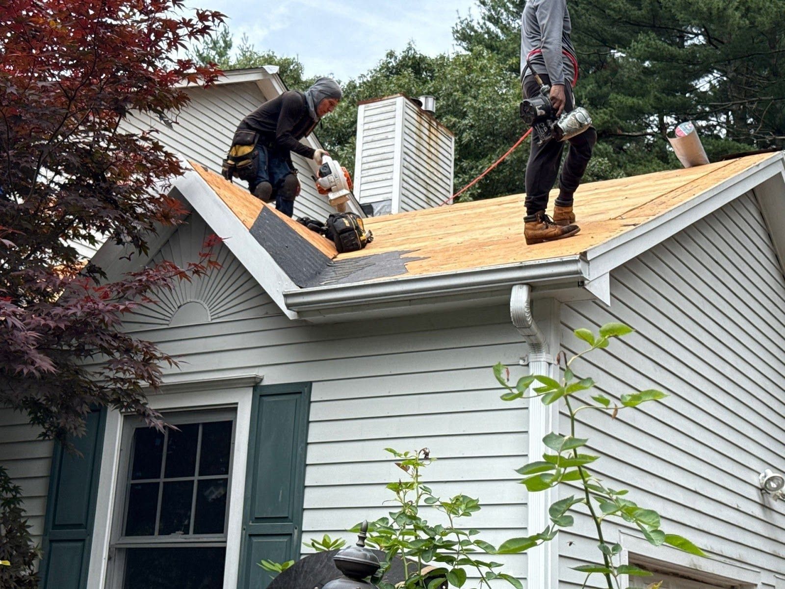 Two roofers work on bare plywood decking of a white-sided house, with a seamless gutter and downspout at the eave.