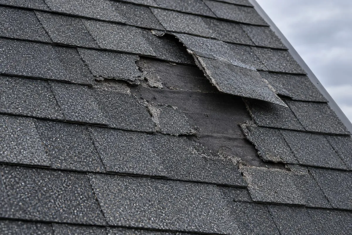 Wind-lifted shingles on a wet dark roof slope.